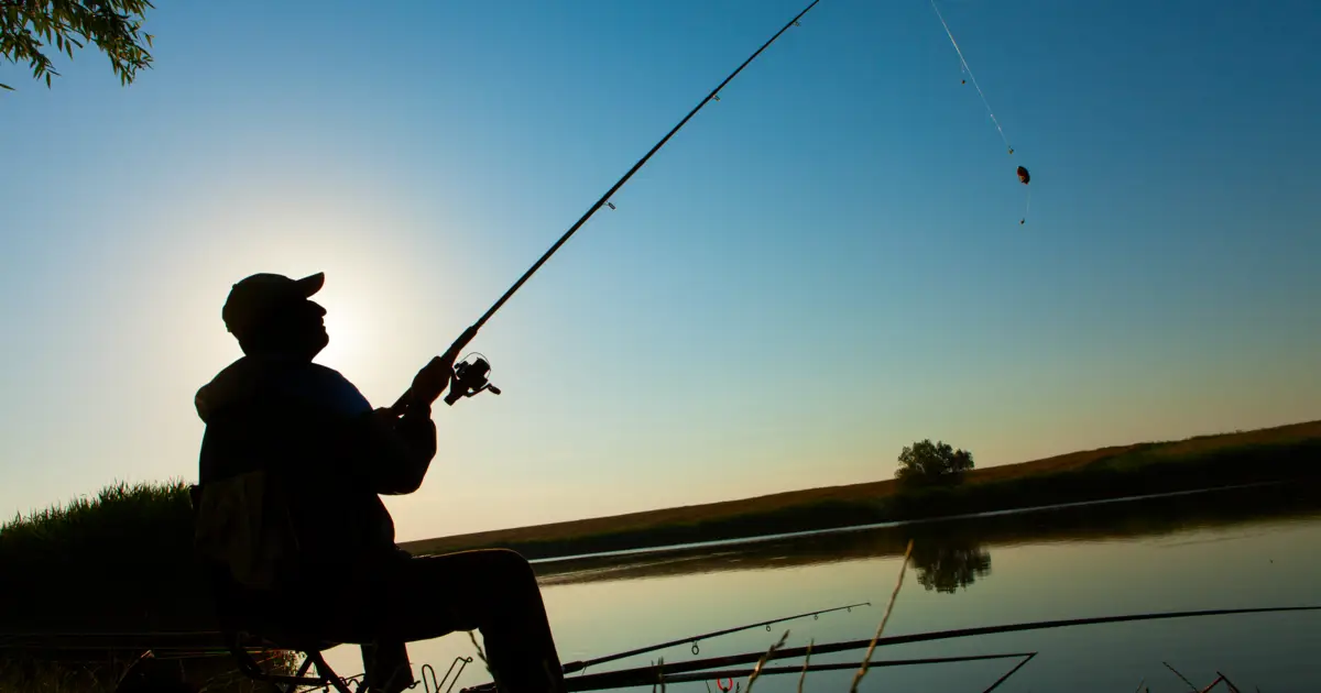 2025 foi ano “histórico” para pesca sustentável na Península Ibérica