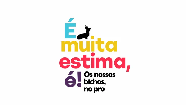 É Muita Estima, É — Programa de TV